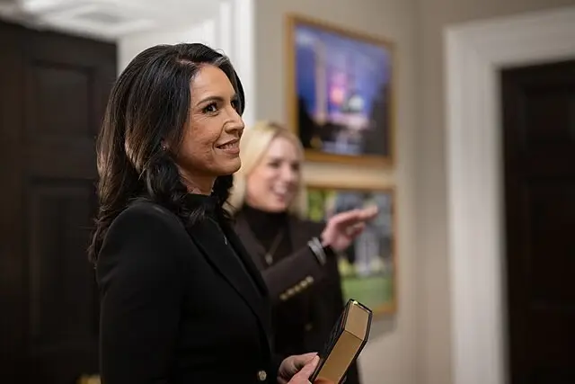 tusli gabbard dni documents
