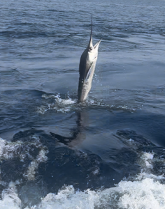 elsa kurt interviews Taylor Jean Fishing